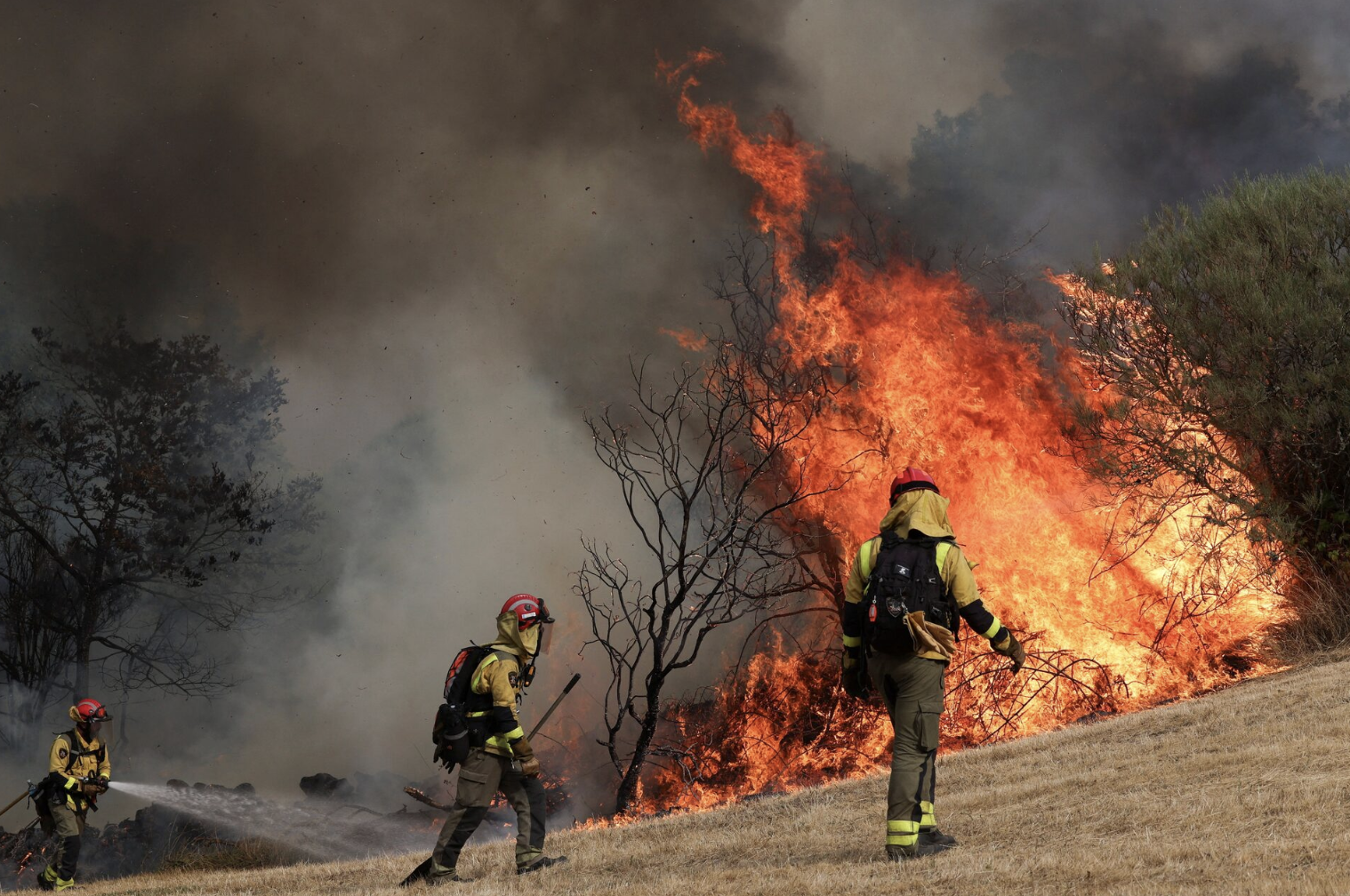 Spain on Fire: A Summer of Devastating Wildfires Leaves a Country on Alert